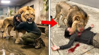 VISITAS A ZOOLOGICOS QUE TERMINARAM EM TRAGEDIAS