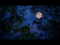 Mentahan Video Efek Pemandangan Bulan Malam Hari