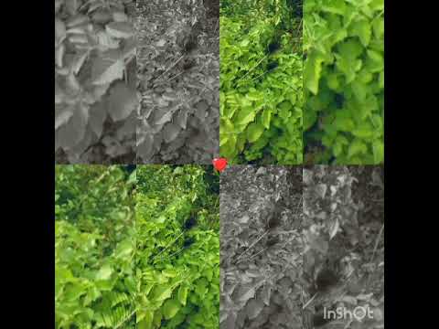 very nice 👌😊(2)