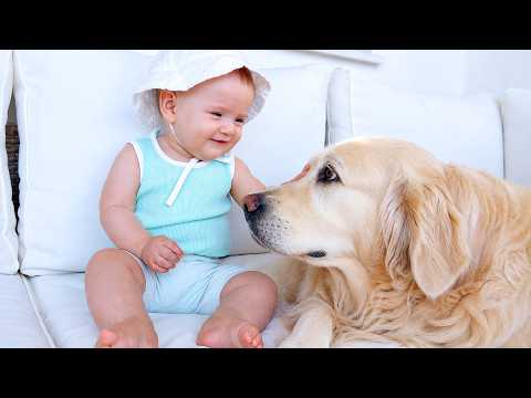 YouTube 썸네일