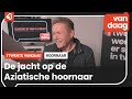 Roger Borre gaat strijd aan met Aziatische Hoornaar