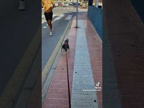 subcribete y dale me gusta gracias amigos es Toby