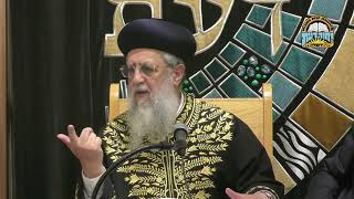 הליכה לכותל בשבעת ימי האבילות I מרן הראשון לציון הגאון רבי דוד יוסף שליט"א (מוסדות יחווה דעת) - התמונה מוצגת ישירות מתוך אתר האינטרנט יוטיוב. זכויות היוצרים בתמונה שייכות ליוצרה. קישור קרדיט למקור התוכן נמצא בתוך דף הסרטון