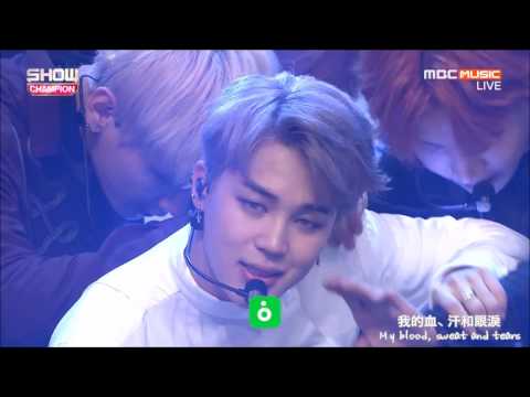 [繁中字/Eng] BTS (防彈少年團) - Blood Sweat & Tears 血汗淚 161019 (Live)