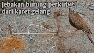 Download lagu how to make an easy turtledove trap mp3