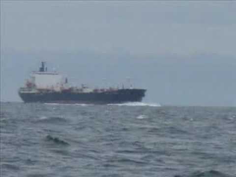 Whale Watching Aug 18 2008 11AM Adam oceanexplorations.com