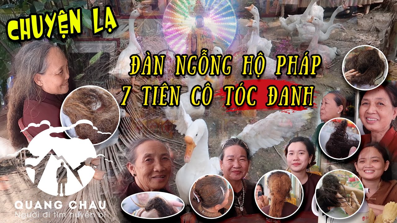 Chuyện lạ 20 chú Ngỗng Tu Hành bảo vệ "Thất Vị Tiên Cô Tóc Đanh" ở Diêu Trì Cung Cà Mau