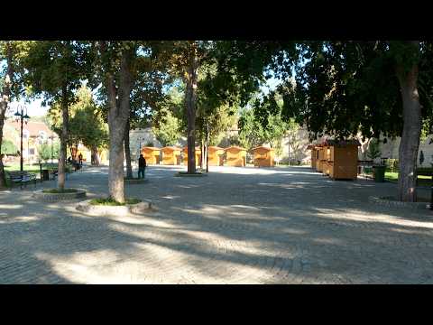 Info -  Dani Mediterana prvi put u Nišu (TV KCN 22.09.2026)