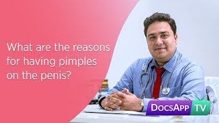 What are the Reasons for having Pimples on the Penis? #AsktheDoctor