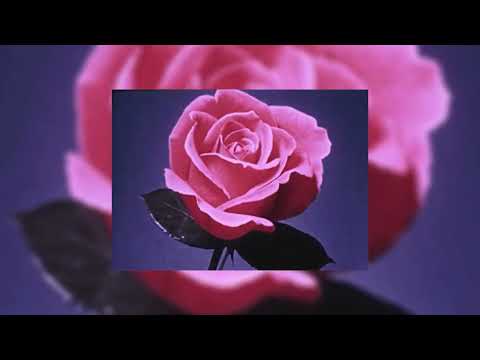 Teik Arô - Acid Resurrection