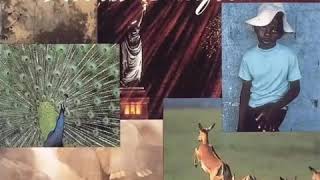 Al Di Meola - Orient Blue