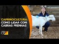 Curso Administração da Pequena Empresa Rural