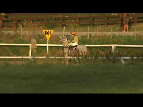 SINT COLONIA 210218 c9 1° LALIFERO