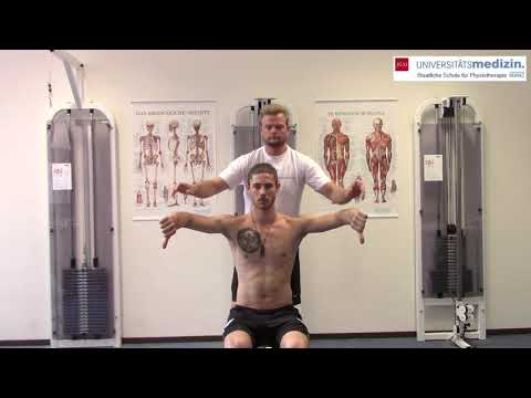 Schultergelenk - Empty-Can Test