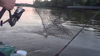 Adapting the Outdoors: Season Four Episode Fifteen: River Fishing with Fowl Intentions