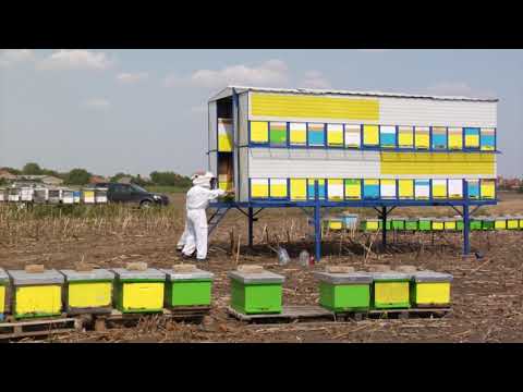 Reč struke ep. 204 18.09.2018. NAJAVA