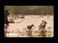 Karnan Thattan Dhanush Thattan Thattan Song Whatsapp Status