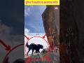 दुनिया के खतरनाक और रहस्यमय मंदिर Shorts Yts