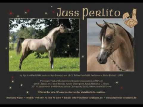 JussPerlito by Aja Justified out of CC Edina Pearl by LM Perlamor