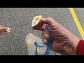 Charlie Clears The Parking Lot Of Gulls And Enjoys His Breakfast Egg With Gusto