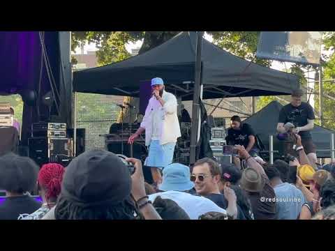 SUMMERSTAGE NYC:: Pete Rock x Common Live in Brooklyn