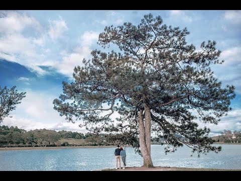 Ta tiếc thiên đường sớm lập xong - Lệ Thu