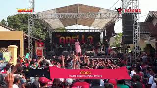 Download lagu CIDRO OM ADELLA || voc. Elsa Safira || ambyaaar mp3