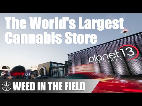 An Inside Look at the World's Largest Cannabis Dispensary