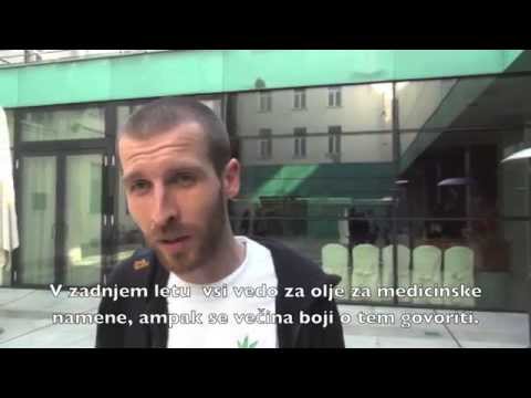 Izjave udeležencev seminarja o konoplji - YouTube