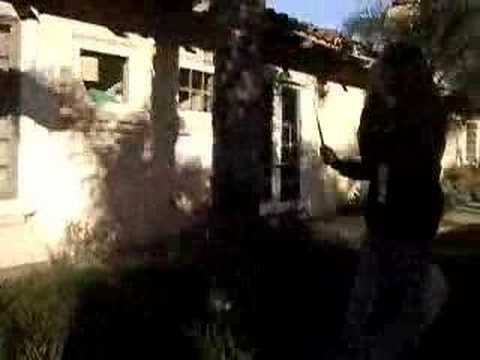 David. Being Beaten.