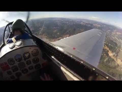 Lady Jo TF-51D Mustang