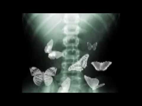 Lucian Ştefan - Fluturaşi în stomac (Antecolectia de emotii)