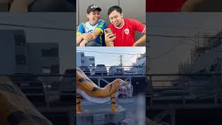 Download lagu Tiger enc0k mp3 Download lagu Tiger enc0k mp3