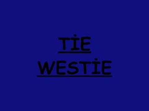 Tie[westie] & A.r.trap & Rapojen& Zither- Esenler Kadıköy'ü