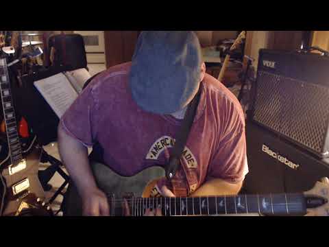 PRS  SE Custom 24 with PRS locking tuners and PRS pickuop covers image 5