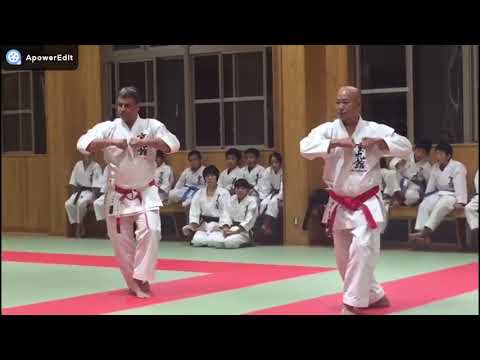 Kata Matsumura no Passai  - Shorin-Ryu Jyureikan