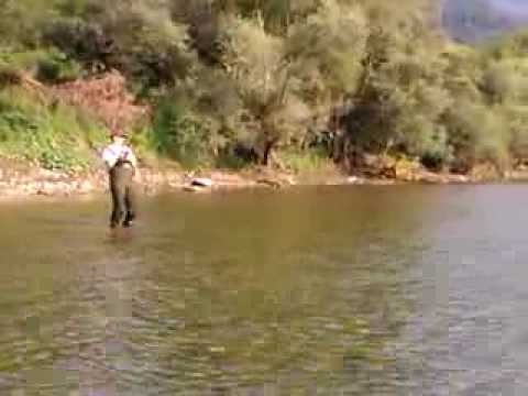 Lov skobalja na Drini