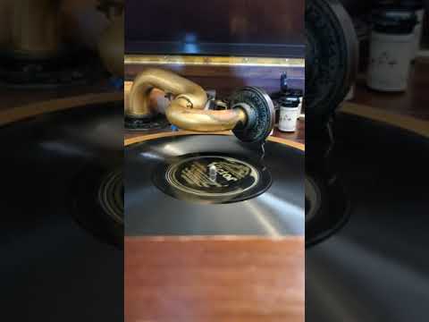 Back in Hackensack New Jersey - Benson Orchestra of Chicago  Victor Records #19318