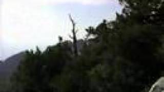 Mike Johnson Truckin' * 1998 Dance of the Golden Eagles