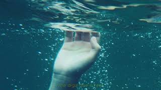 seafret - tell me it&#39;s real // tradução PT-BR