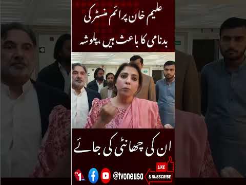 علیم خان حکومت کی بدنامی کا باعث ہیں، پلوشہ خان