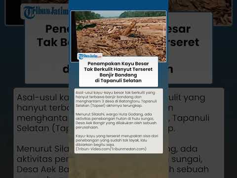 GEGER! Terkuak Asal Kayu Besar Tak Berkulit Hanyut Terseret Banjir Bandang di Tapsel, Ini Kata Warga