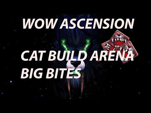 WOW ASCENSION ARENA CAT BUILD BIG BITES PVP