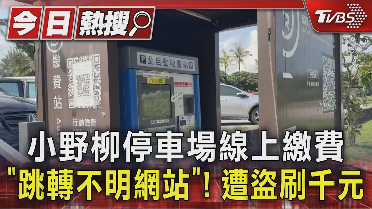 小野柳停車場線上繳費「跳轉不明網站」! 遭盜刷千元|TVBS新聞 @TVBSNEWS01