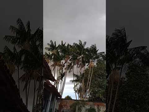 Chuva em Esperantina do Tocantins Brasil.