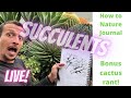 How to Nature Journal Succulents: The Nature Journal Show Live!