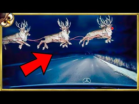 20 Christmas Characters Caught on Camera in Real Life