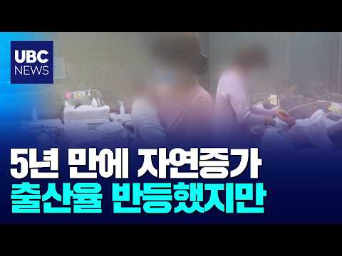 5년 만에 자연증가, 출산율 반등했지만
