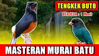 Download lagu MASTERAN MURAI BATU - suara Tengkek Buto GACOR jernih keras berjeda 1 menit FULL 1 JAM variasi 2 mp3 Download lagu MASTERAN MURAI BATU - suara Tengkek Buto GACOR jernih keras berjeda 1 menit FULL 1 JAM variasi 2 mp3