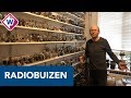 Verzamelaar Frank Nijs heeft 10.000 radiobuizen - OMROEP WEST